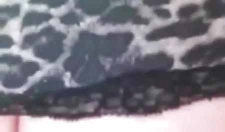 سه sex خواهر برادر دور قرمز