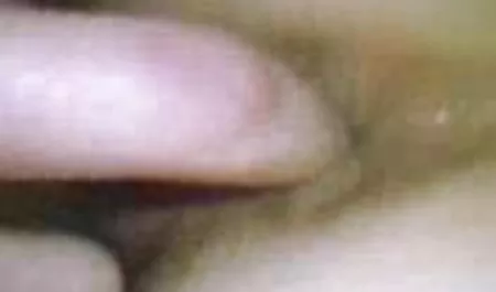 مادر تماشا شوهر امتداد دانلودسکس خواهربرادر گربه با بزرگ