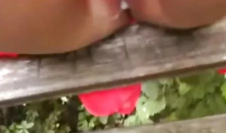 خانواده سکس برادر با خواهر فاسد