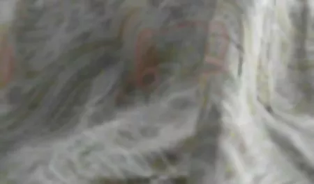 سکس در برادر خواهر سکس هواپیما در کلاس کسب و کار