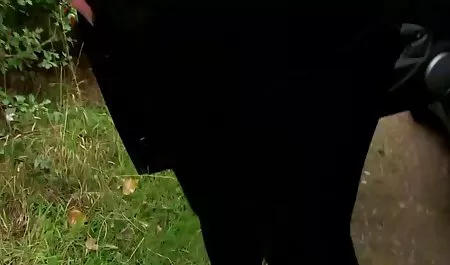 مدرسه دانلودسکس خواهربرادر دانش آموزان ژاپنی