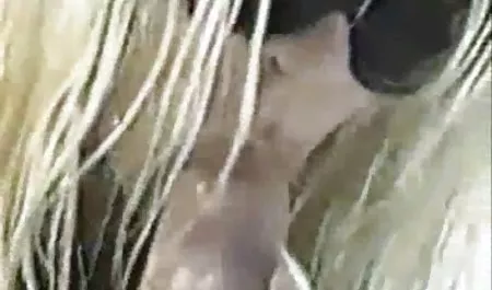 مرغ سرد با پستان سوپر سکسی خواهر برادر سیلیکون